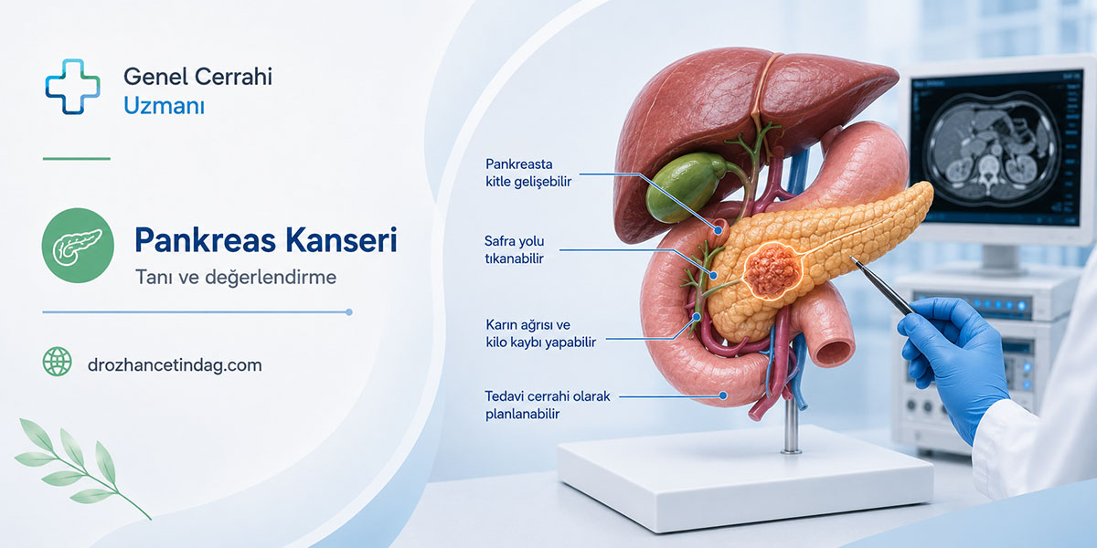 Pankreas Kanseri Tedavisi ve Ameliyatı